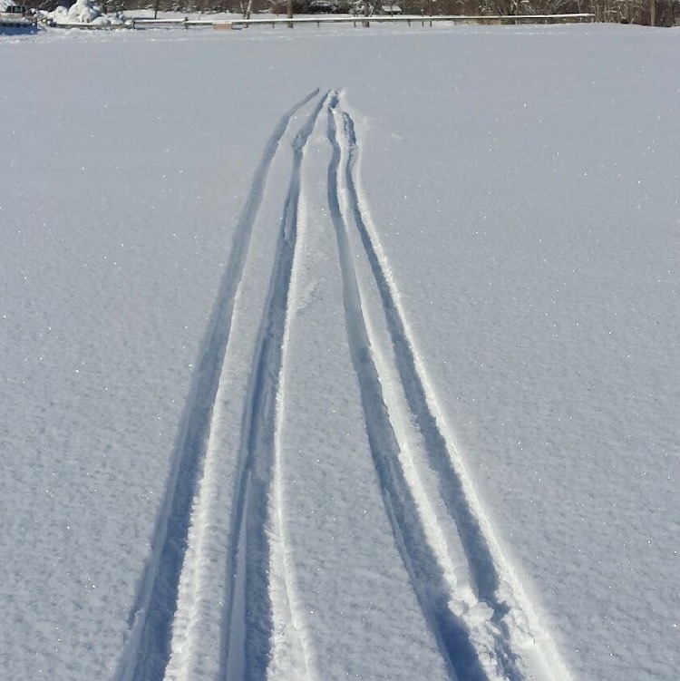 Parapente Les Arcs Peisey-Vallandry Atterrissage à ski